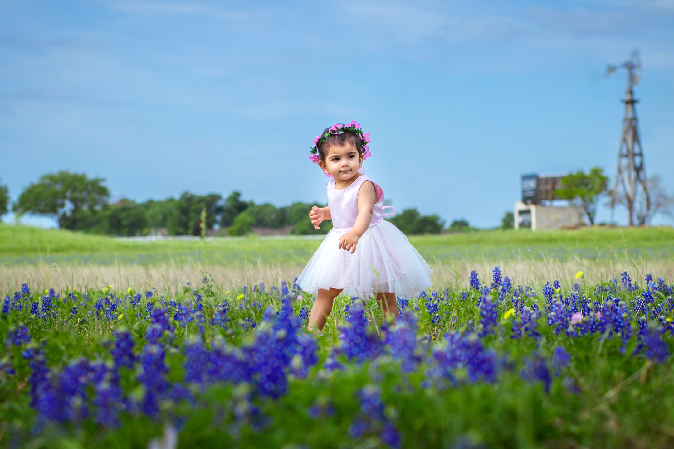 Kids Photography in Lavender Farm